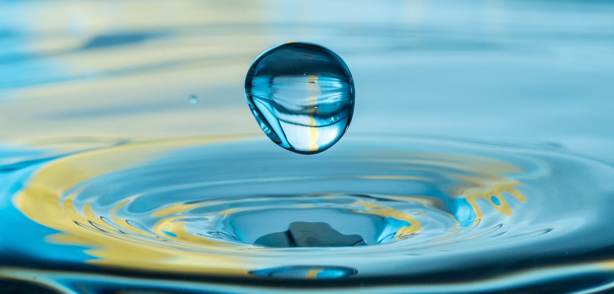 Why is surface tension important?